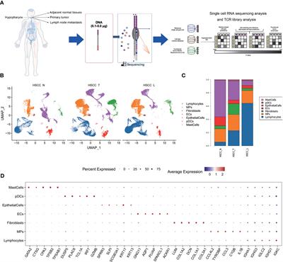 Single-cell RNA sequencing reveals tumor immune microenvironment in human hypopharygeal squamous cell carcinoma and lymphatic  metastasis